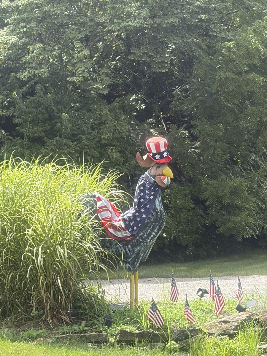 asianposh2022's tweet photo. What’s a lil acid rain when you’re running 🏃‍♀️ 🤣 Had all the weather on my 8 plus miles! Gotta love my patriotic neighbors &amp; farmers! #delawarecountyOhio https://t.co/VJlkcnstaH