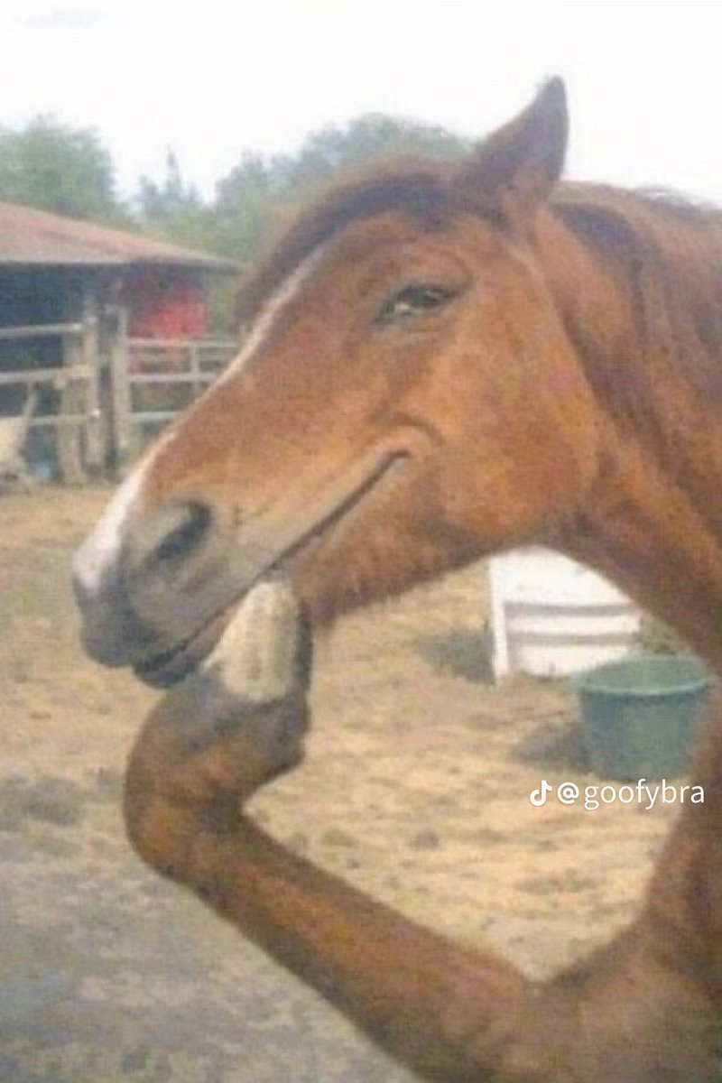 Solwyna tweet picture