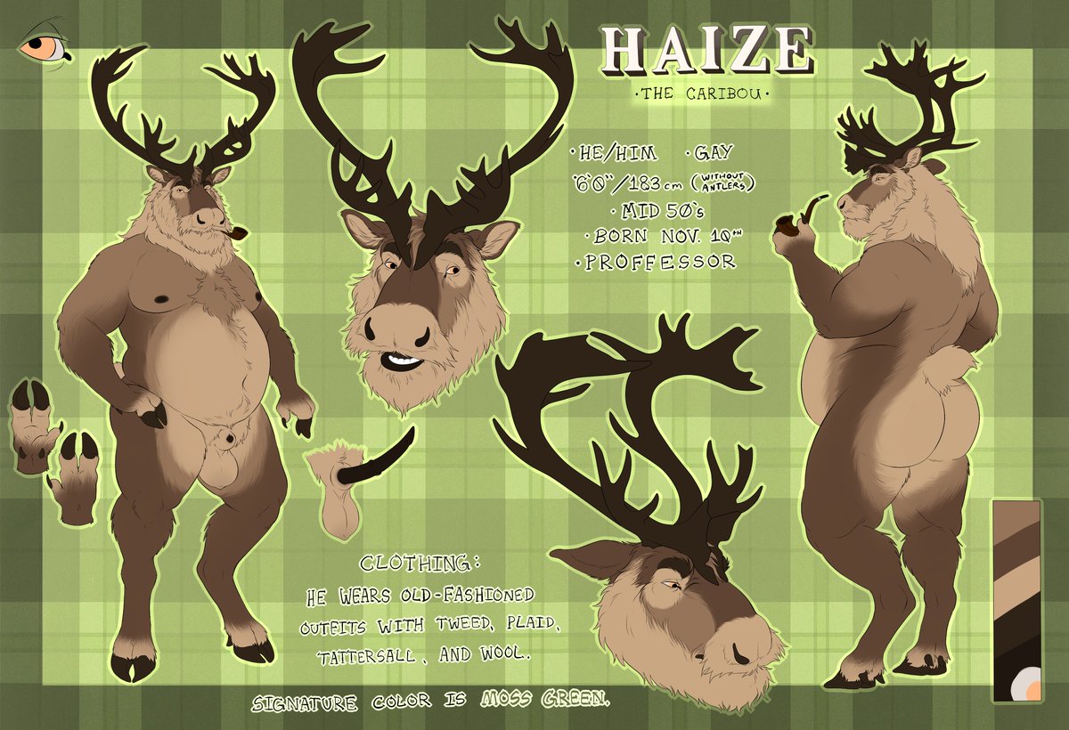 heavychow's tweet photo. Nothing better than a big soft bearded 'bou 💚 https://t.co/S5fcdUGPae