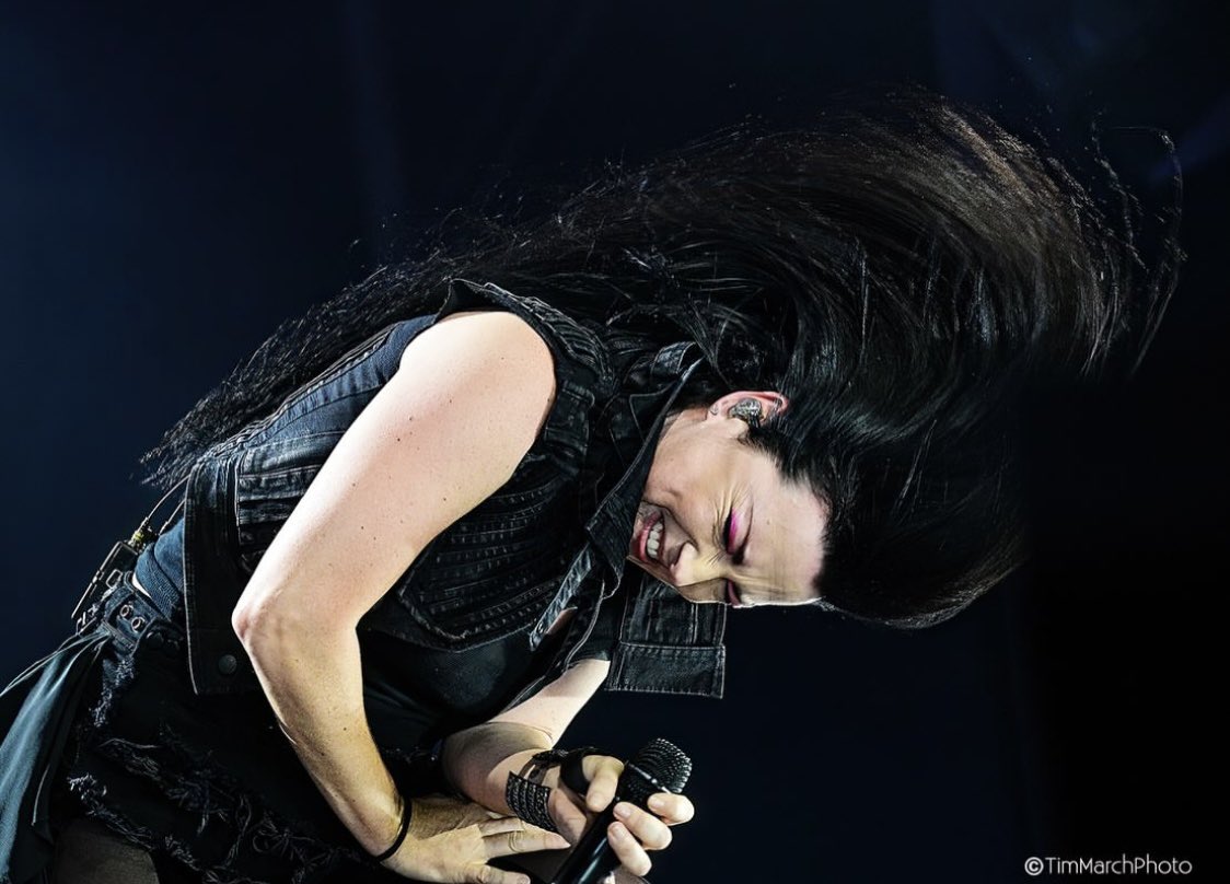 Amy様☆専用ページ amylee #evanescence