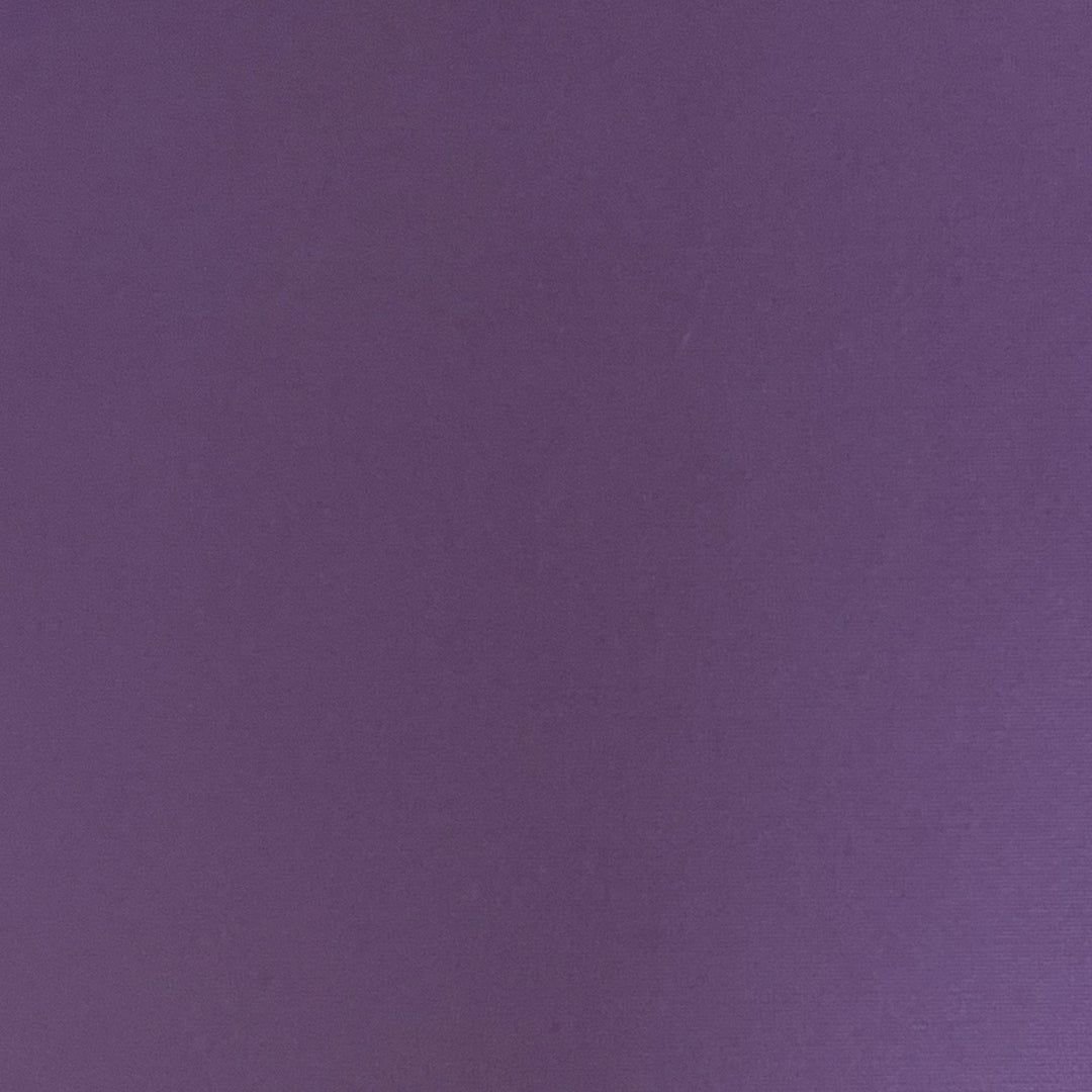 theduckcoincoin tweet media
