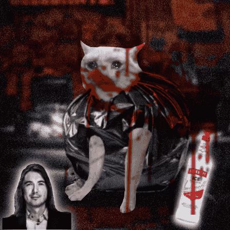 cryptossaviour's tweet photo. my first nft cash-cat:native https://t.co/9rUq0NTl7V
