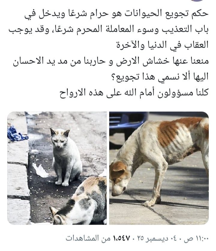 AhlamRefae46875's tweet photo. https://t.co/lt8eGdxiOP