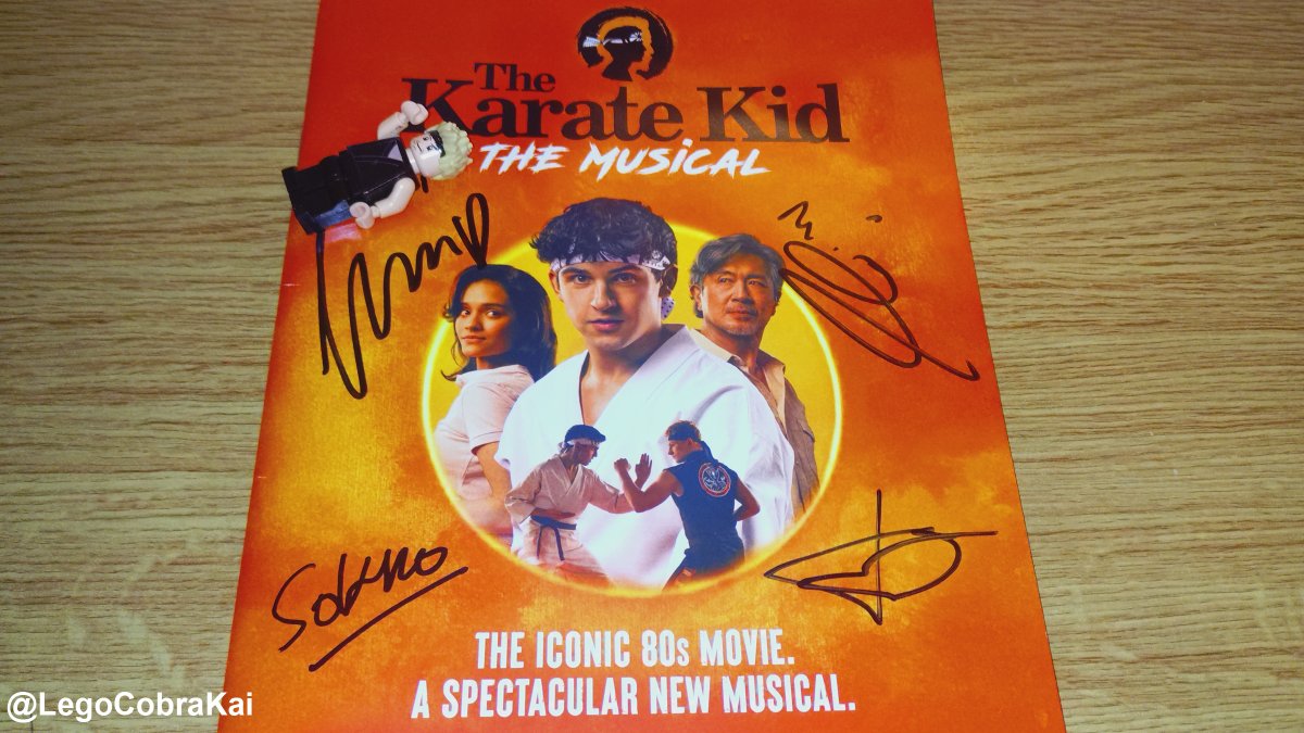 LegoCobraKai tweet picture