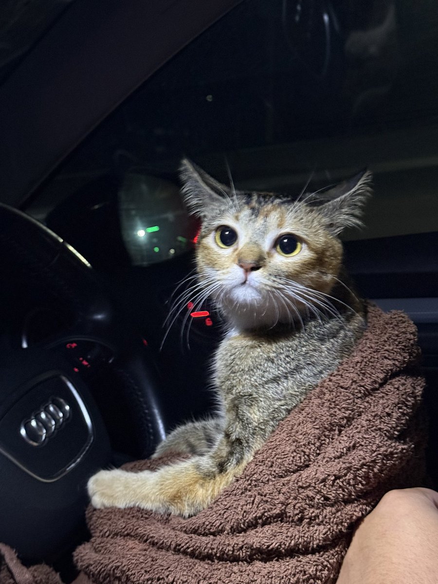 elyanasparks's tweet photo. My daughter is going to drive!!!! https://t.co/4jTTv9L92x