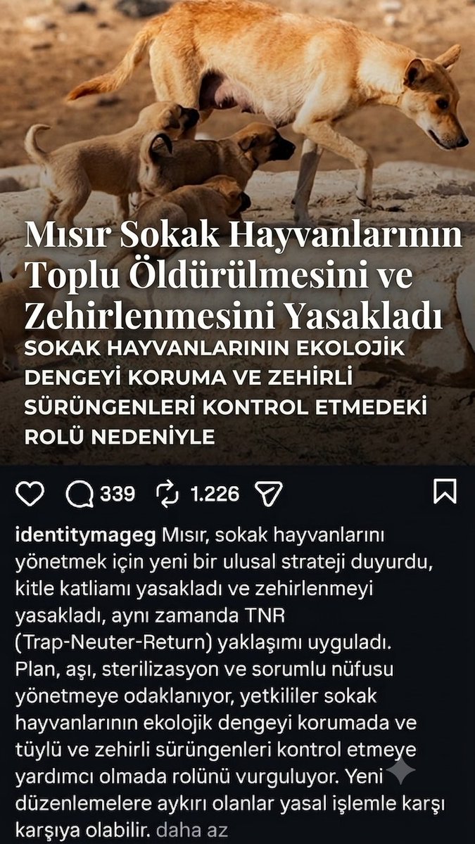 thisishakan_'s tweet photo. Mısır Çevre Bakanlığı ve ilgili resmi kurumlar sokak hayvanlarının özellikle kedi köpek itlaf ve zehirlenmesini yasaklamış ;
🔴KISIRLAŞTIR 
🔴AŞILAT 
🔴YERİNDE YAŞAT programına geçildiğini duyurmuş.
@RTErdogan @EminErdogan @tcbestepe @abakingurlek
@pervintuba @AYMBASKANLIGI https://t.co/q0LdkjHQra