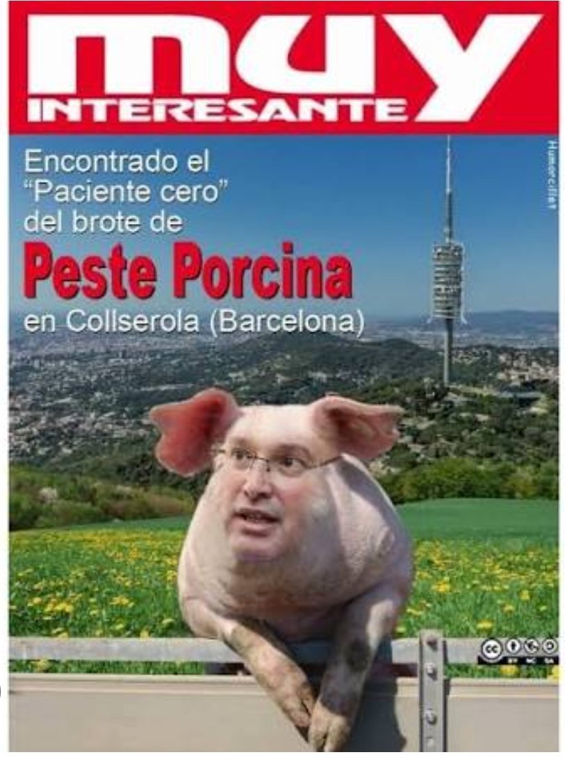bittorts's tweet photo. @MalasLenguas_Tv @antonlosada https://t.co/lx7X9ziBOv