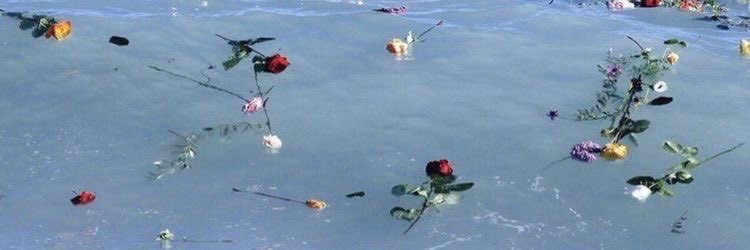aysaydnn00's tweet photo. “Andolsun, onların söyledikleri şeylerden dolayı göğsünün daraldığını biliyoruz.
Öyle ise Rabbine hamd ile tesbîh et ve secde edenlerden ol!”
Hicr/97-98 🌙 https://t.co/ix5VgIGscA