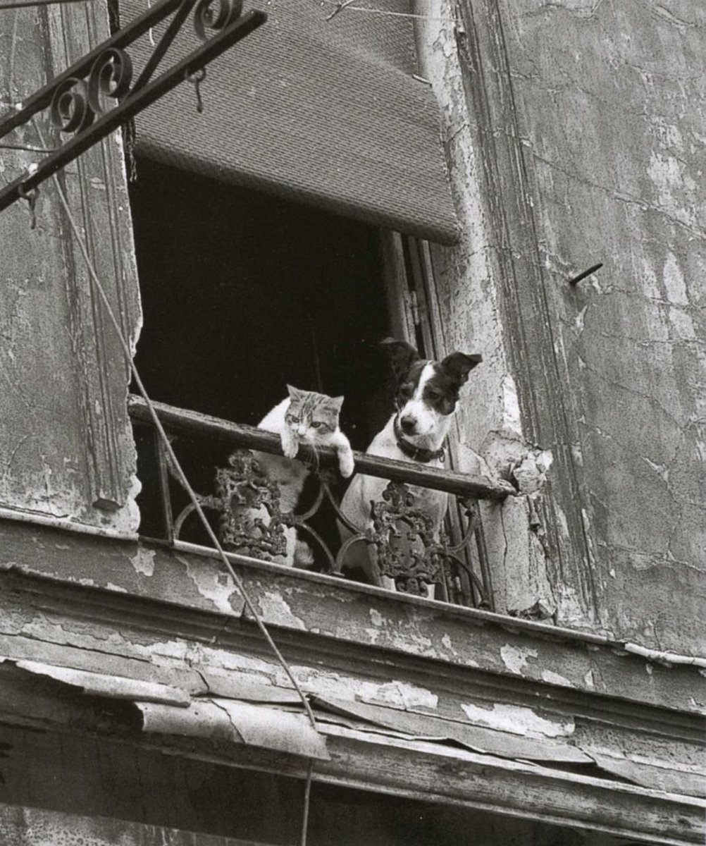 solisolsoli's tweet photo. Friendship, c. 1930, Paris https://t.co/Rt4w70oDBZ