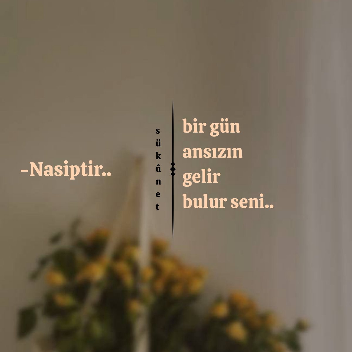 sukunnettt's tweet photo. https://t.co/joSjf6cD2u