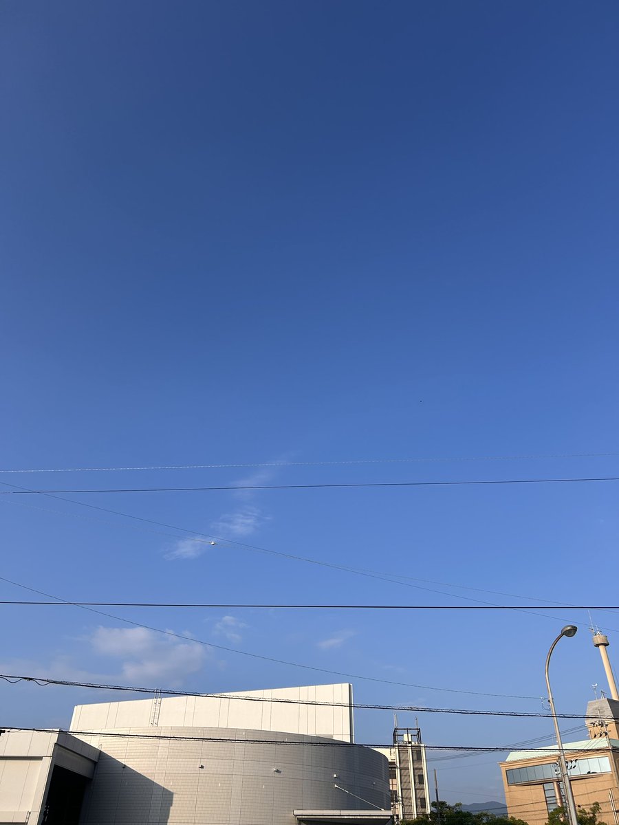5兵衛 tweet media