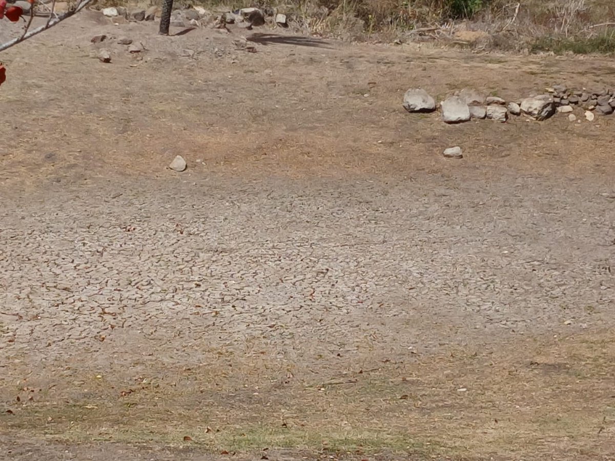 abmetservice's tweet photo. 📸🌞 Dried-Up Pond at Piccadilly, Paradise Road, St. Paul's

This dried-up pond at Piccadilly, Paradise Road in St. Paul's serves as a visible reminder of the dry conditions that have affected parts of Antigua and Barbuda in recent months. https://t.co/CF2s7Y6eEG