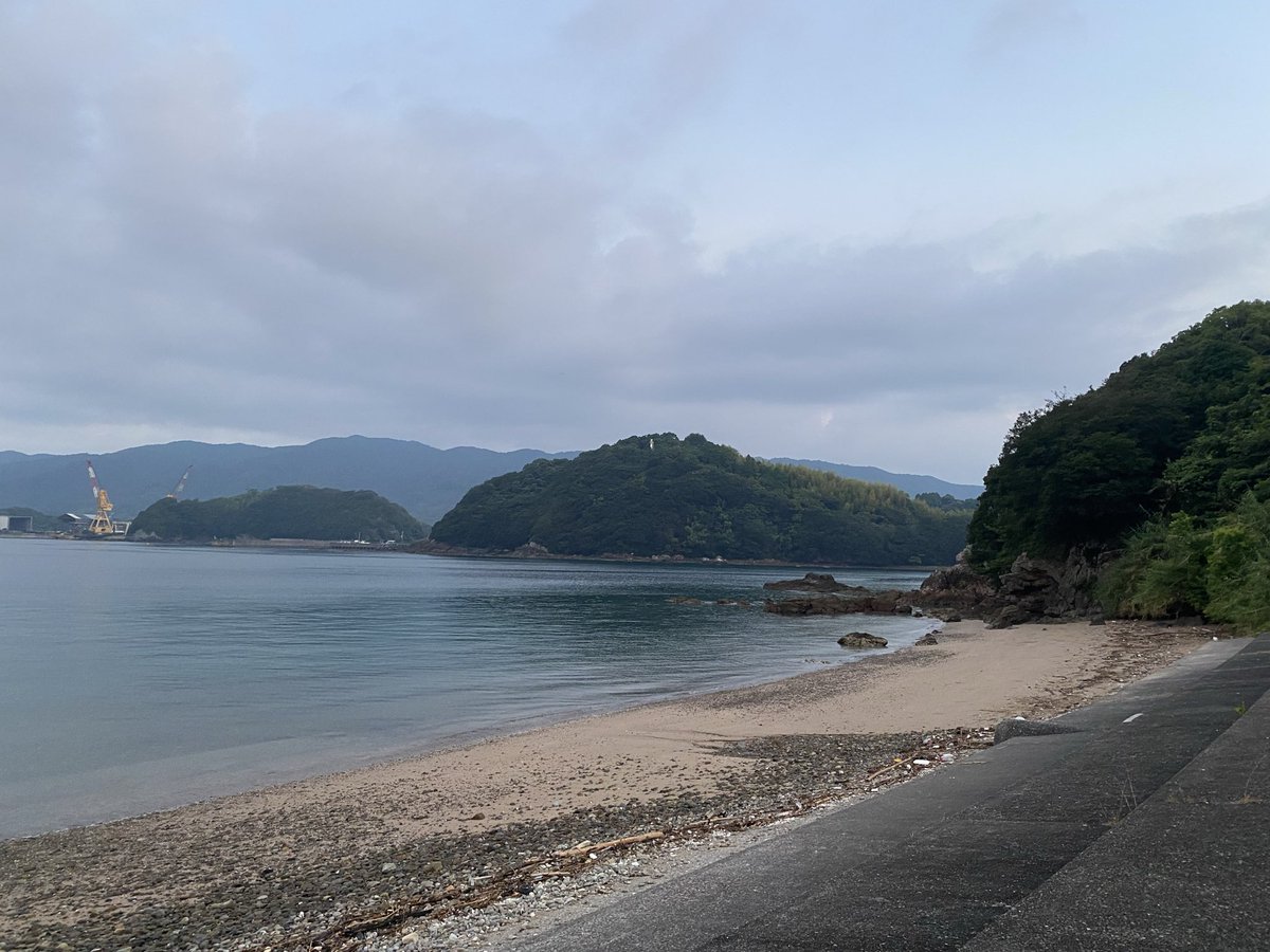 takmame's tweet photo. 夜中にカサカサ音がしてると思ったらこいつやった🤣
しかも2匹
起きてテントから出ると元気に出て行きました😁 https://t.co/gmywplgnJo