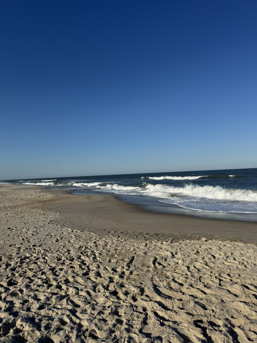 Dangstrat's tweet photo. 🥋🏋️‍♂️🥩🌊🔁 https://t.co/b83qBpmczC