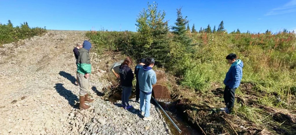 GISEd's tweet photo. In rural Alaska, students are breaking the boundaries of education 🏔️

Check out how they're using GIS to map and better understand their community 👇
https://t.co/vKmixRosQ6 https://t.co/Tk49MBQQeV