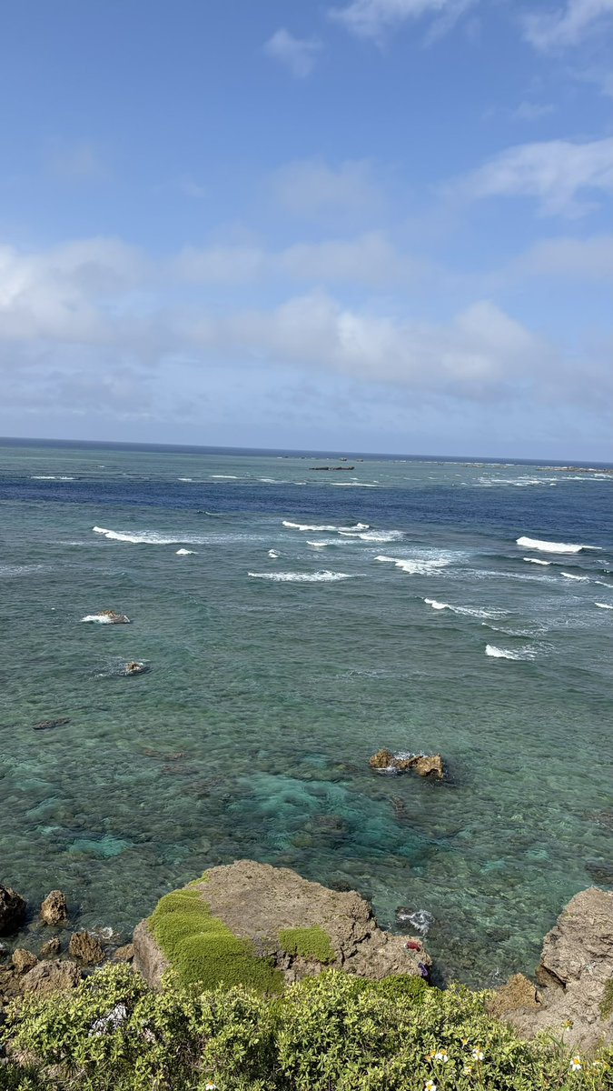 Ja1panda27's tweet photo. 東平安名崎🌊🐢

海が綺麗でした🏖️

#宮古島 #東平安名崎 #珊瑚 https://t.co/qEAkcNf8My