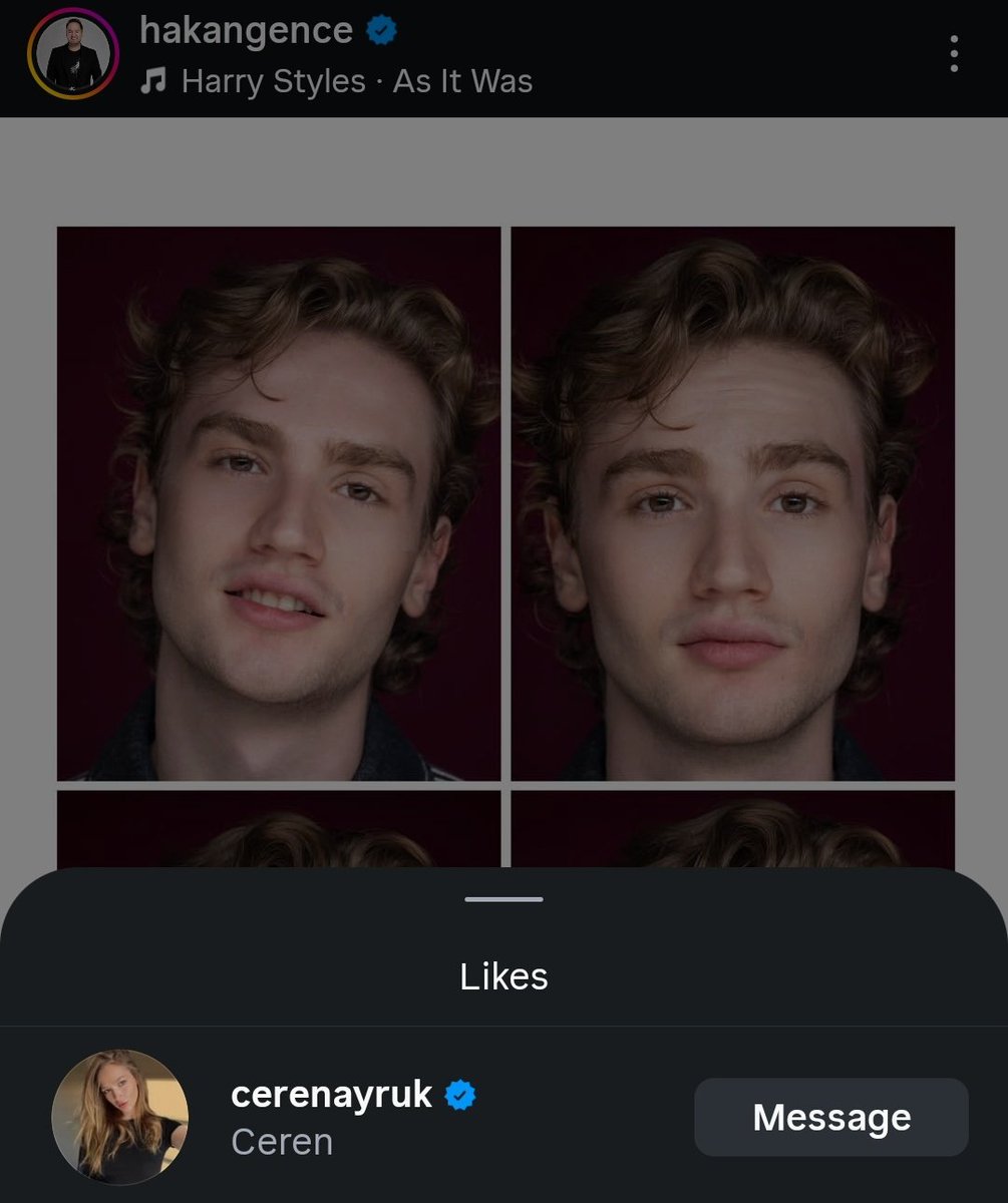 pano tweet media