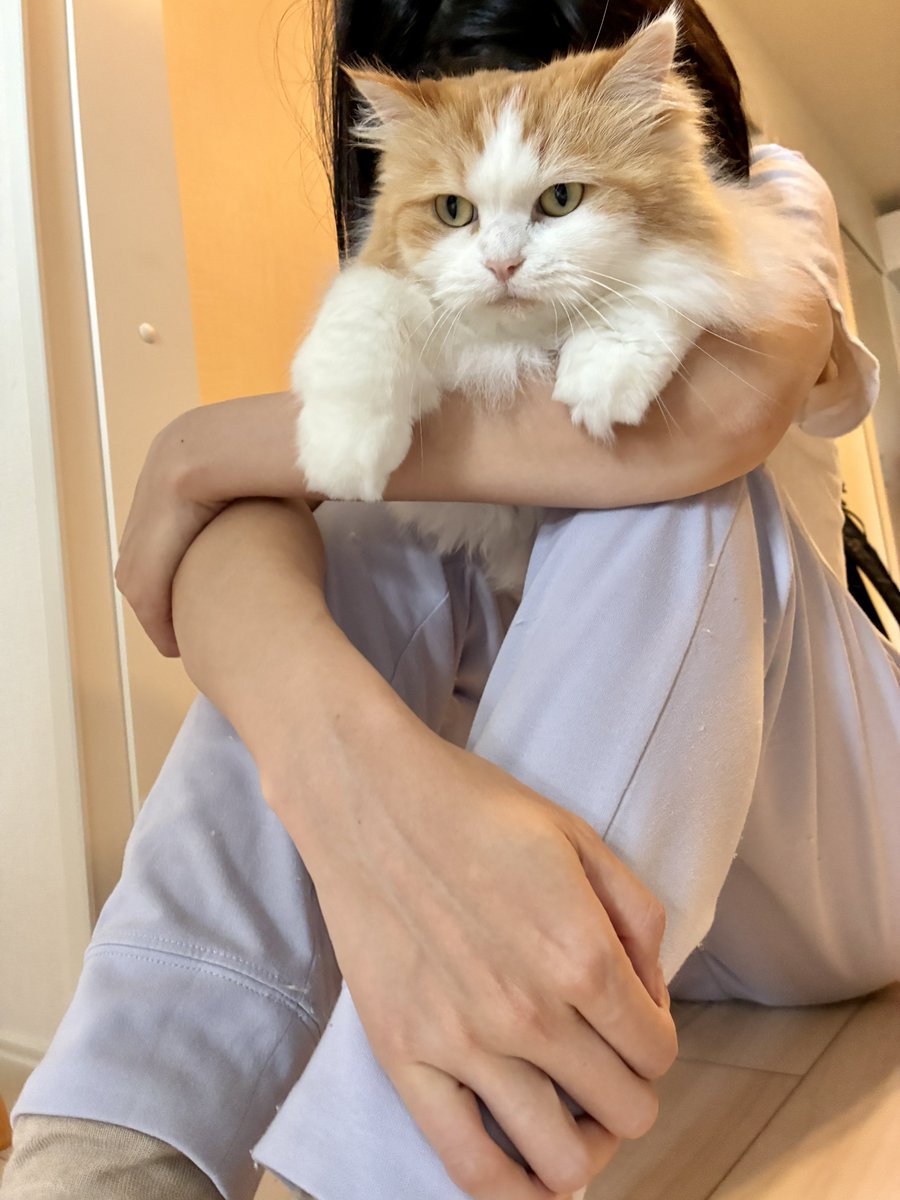 UiCh0827's tweet photo. おはよう✨ https://t.co/0NirKWdhoO