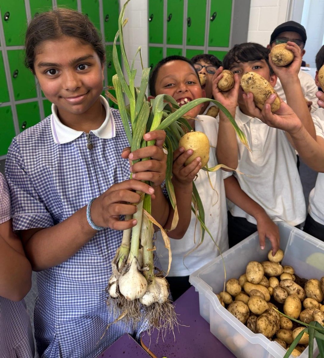olive_bburn's tweet photo. The Year 4 Eco Warriors have successfully cultivated a high-yield vegetable crop and they are absolutely thrilled!!
#VegetablePatch
#SchoolGarden
#Planting
#WeAreStar https://t.co/EIPN8ekNIC