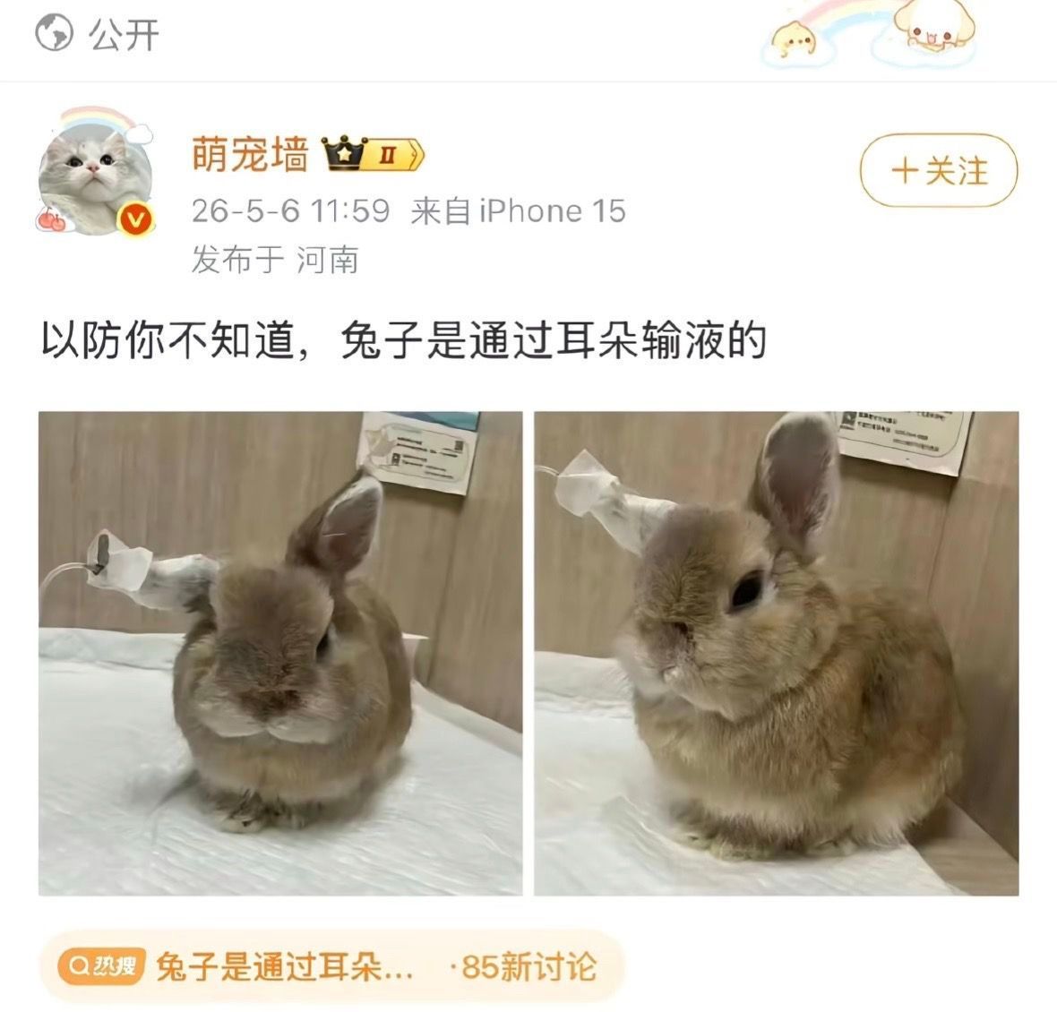 lun060530's tweet photo. 可爱捏 https://t.co/ErhhyqfKhf