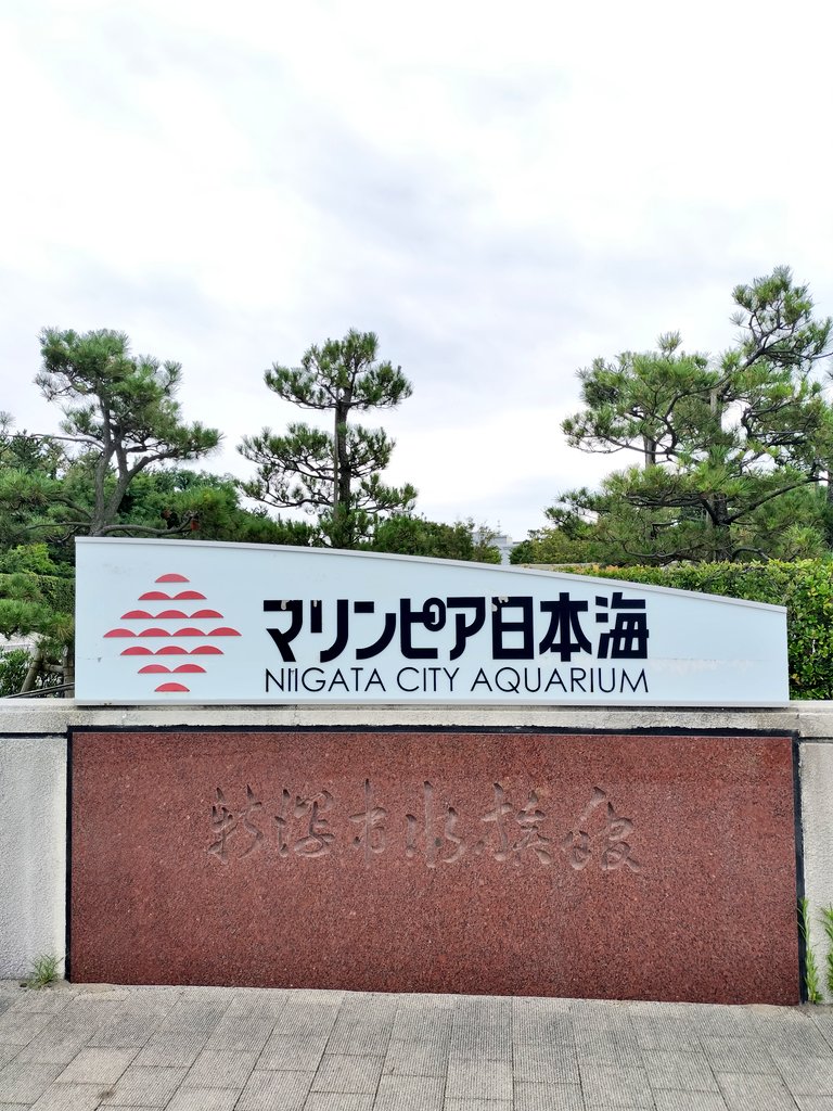 4gpu1t07xvb8's tweet photo. 新潟駅からマリンピア日本海まで、朝のランニング（7km）🐠🏃💨 風の精霊がいる！ https://t.co/7AzqMn5dzB