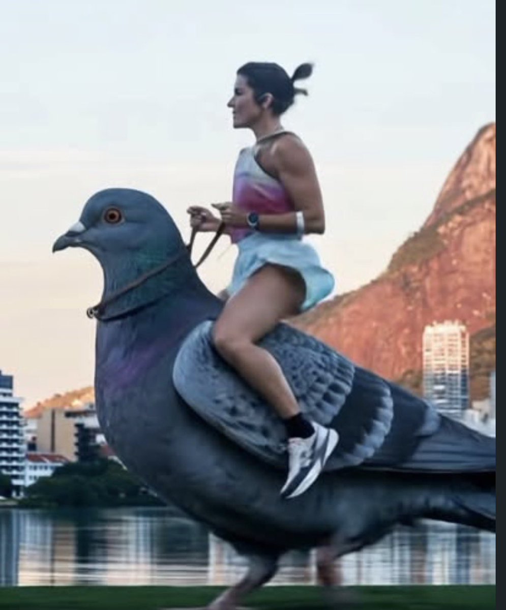 vlucasrocha's tweet photo. esse povo é besta demais kkkkkkkkk https://t.co/pKiwGG8dPz