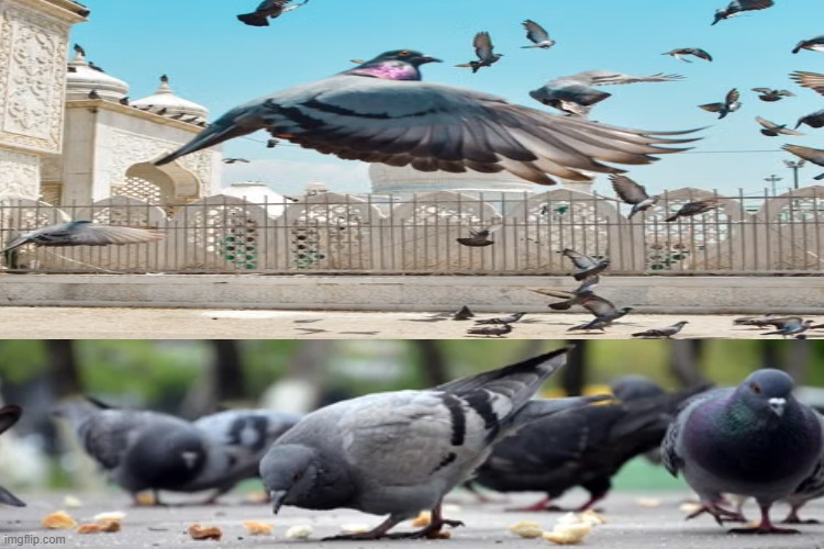 AgentPigeon tweet media