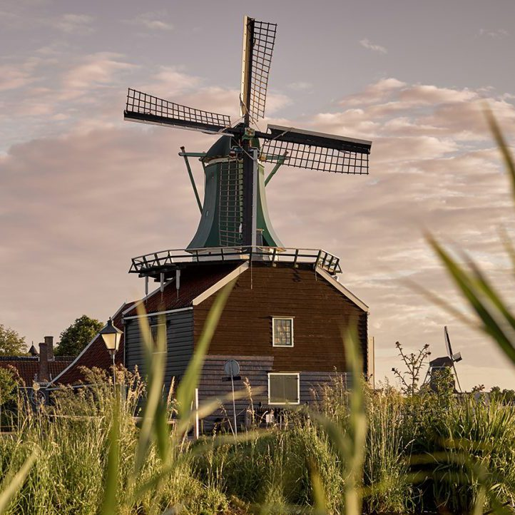 levelsio's tweet photo. Guys I bought this amazing ground cinnamon powder in a Dutch windmill last month like some crazy tourist, but I'm Dutch so I'm not

Anyway it's like the best cinnamon we've ever tasted, it says it's from Vietnam but ground in the windmill, very cool

It literally tastes sweet, and no it doesn't have sugar added, it's pure, but it's better than all the cinnamon I've ever tasted

So anyway, the question is, where do you get your cinnamon from? What's the source? I need your leads, I need the Glengarry cinnamon leads