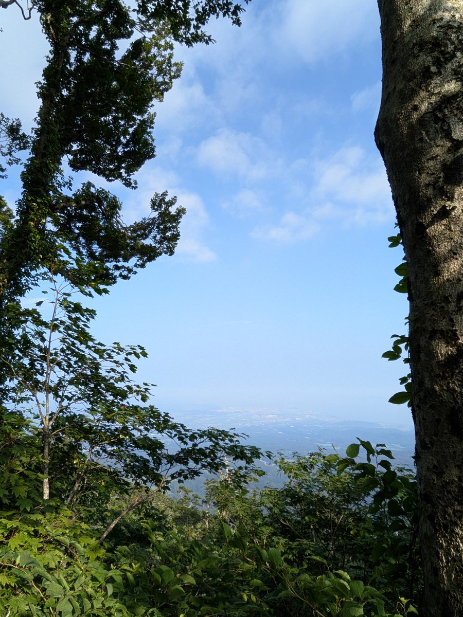 muuu_b's tweet photo. 大山五合目から おはようございます https://t.co/qeFCK17FiG