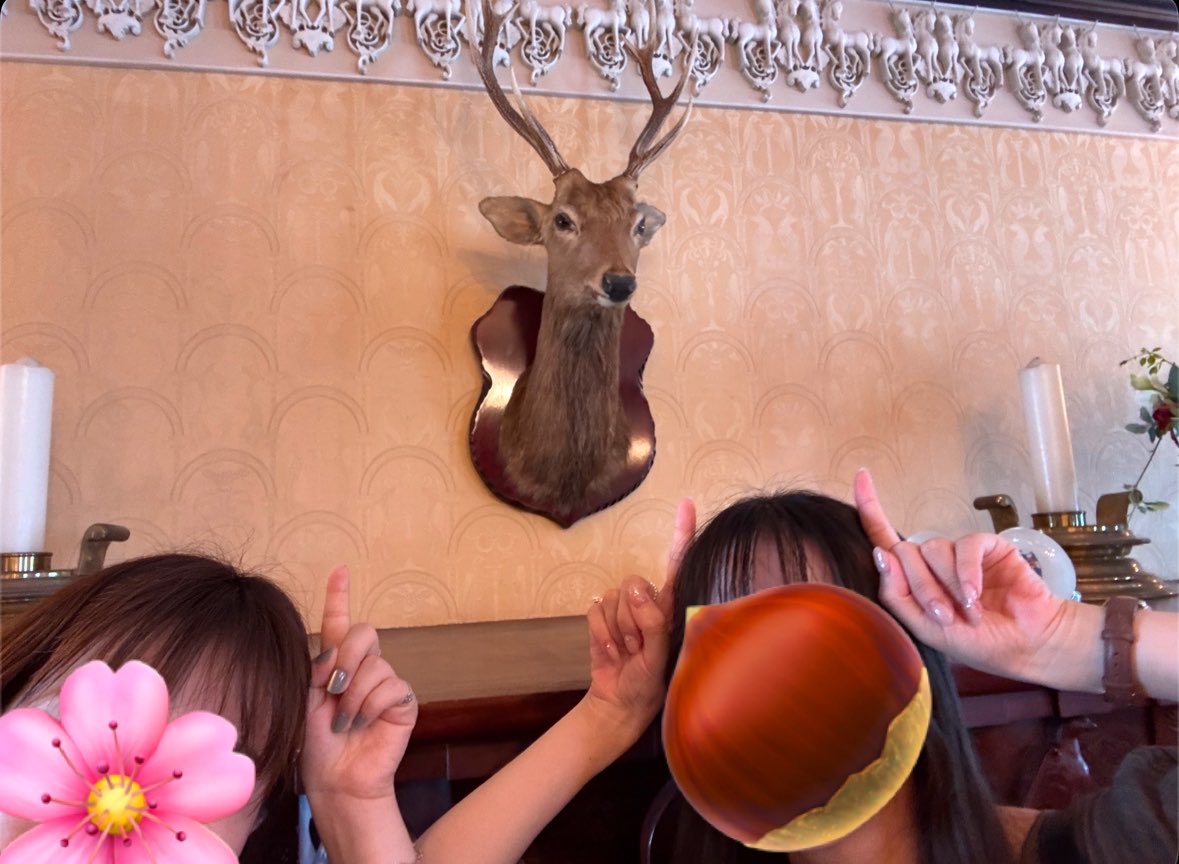 hurusukekaraage's tweet photo. シカポーズ🦌 https://t.co/TM6JHkGZVP