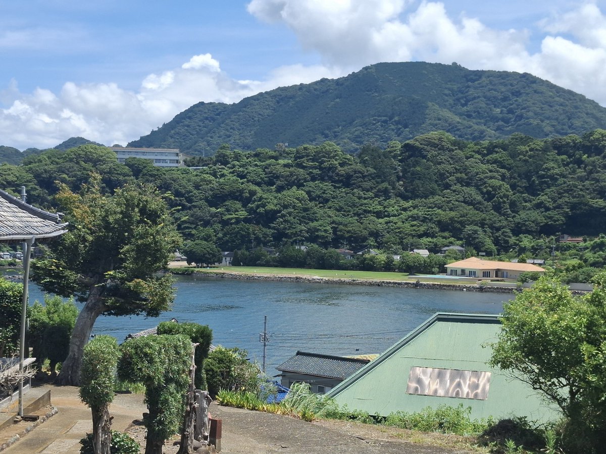 mashukotan's tweet photo. 西浦　ファーム伊豆
伊豆牛カレーライス

みかん畑に囲まれたお店
野菜、お茶は自家製、カレーは肉たっぷり
デザートまで
うまい
これで1000円ならそりゃ場所悪くても人集まる https://t.co/jFmZXY2Ixc