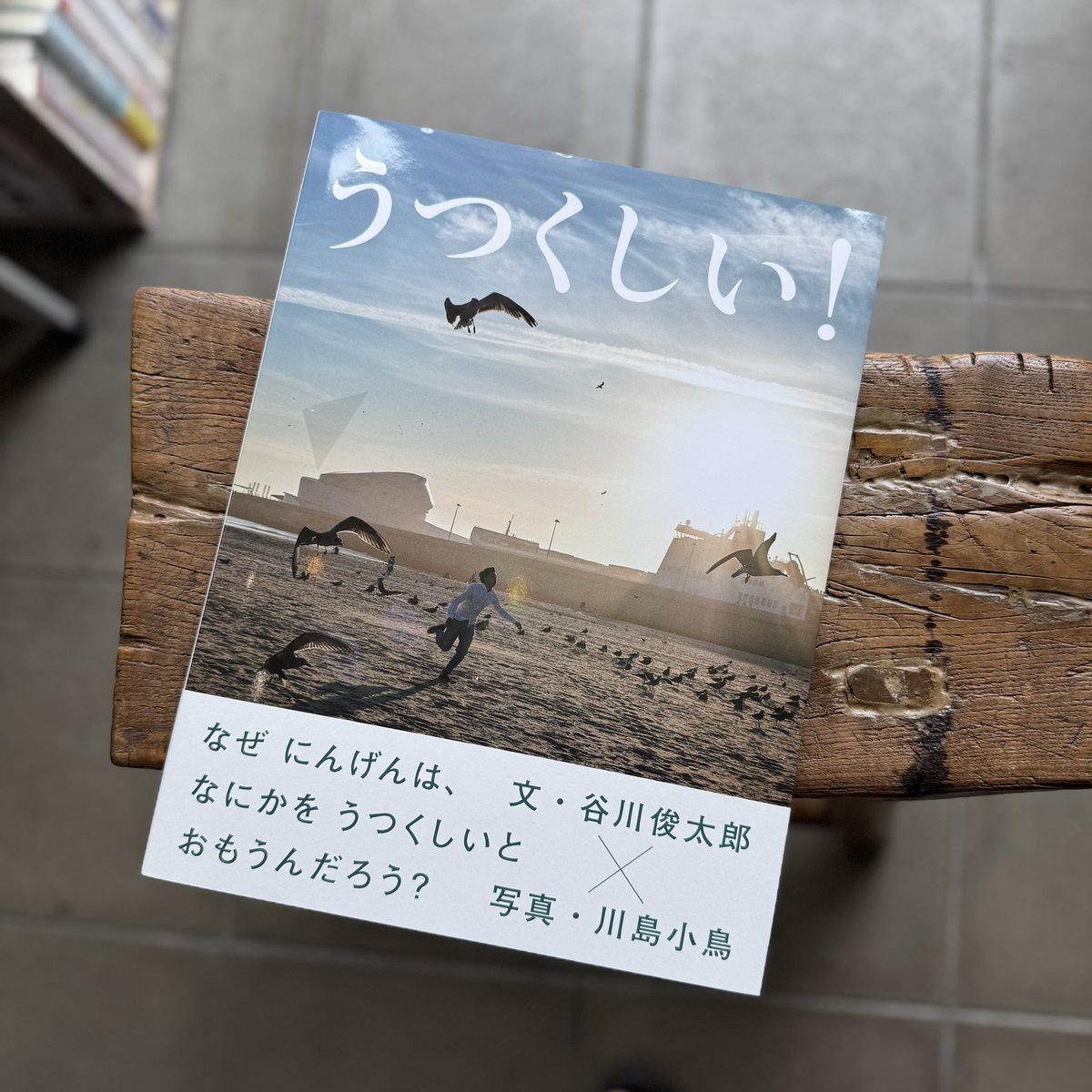 451BOOKS (@451BOOKS) / Posts / X