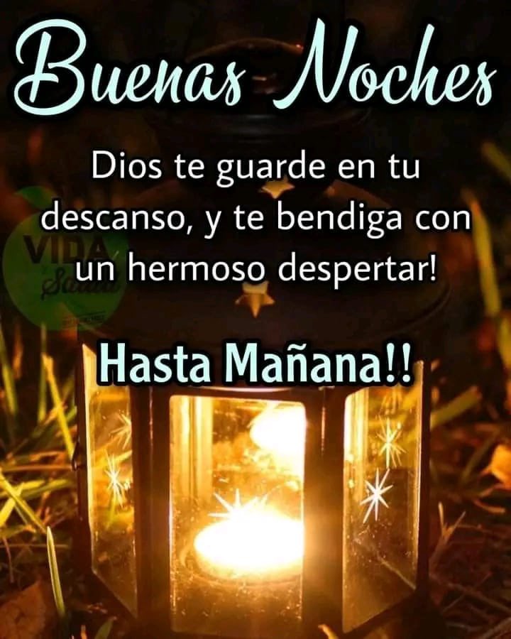 dn_abu's tweet photo. @AntonSelin91759 Igualmente para ti Selin 🙋🏻‍♂️😊😊😊😊 https://t.co/zuAd02iRLL