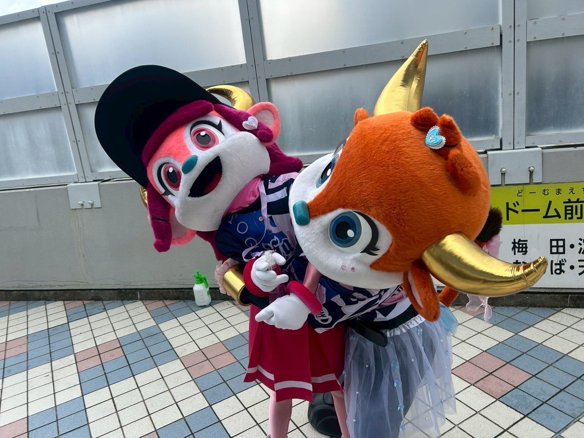 bullbell_B's tweet photo. みんな久しぶり〜😘🎀🩷
ブル子よんᐠ(  ᐢ ᵕ ᐢ )ᐟ🌈

ミニマスコットショー楽しかったわ〜💋

今日のせんぱつは #髙島泰都 投手💞
ぜぇーったいかてるようにブル子と
全力応援がんばろうねっっっ❤️‍🔥❤️‍🔥❤️‍🔥❤️‍🔥

#ブルベル15周年 
#Bs2026 #NPB #プロ野球 #ORIX
#バファローブル #バファローベル https://t.co/b3jSKBinn2