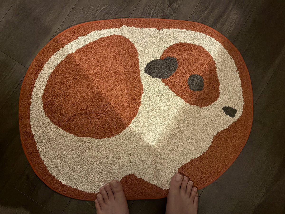 timo_provider's tweet photo. かわいい https://t.co/Y1T08b69mJ