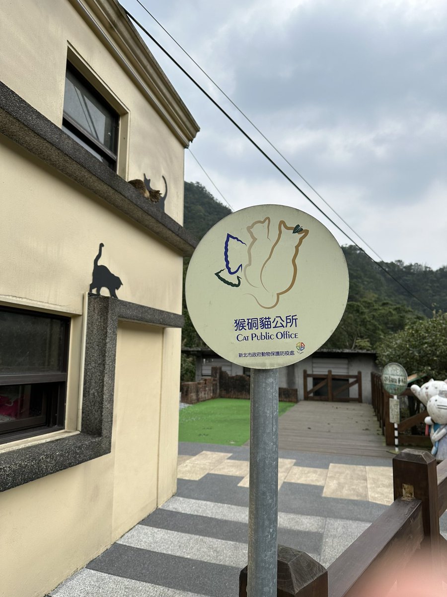 Dominio82048167's tweet photo. 台湾の猫に会いに行き、食堂でお昼 https://t.co/pmJFucNWOQ