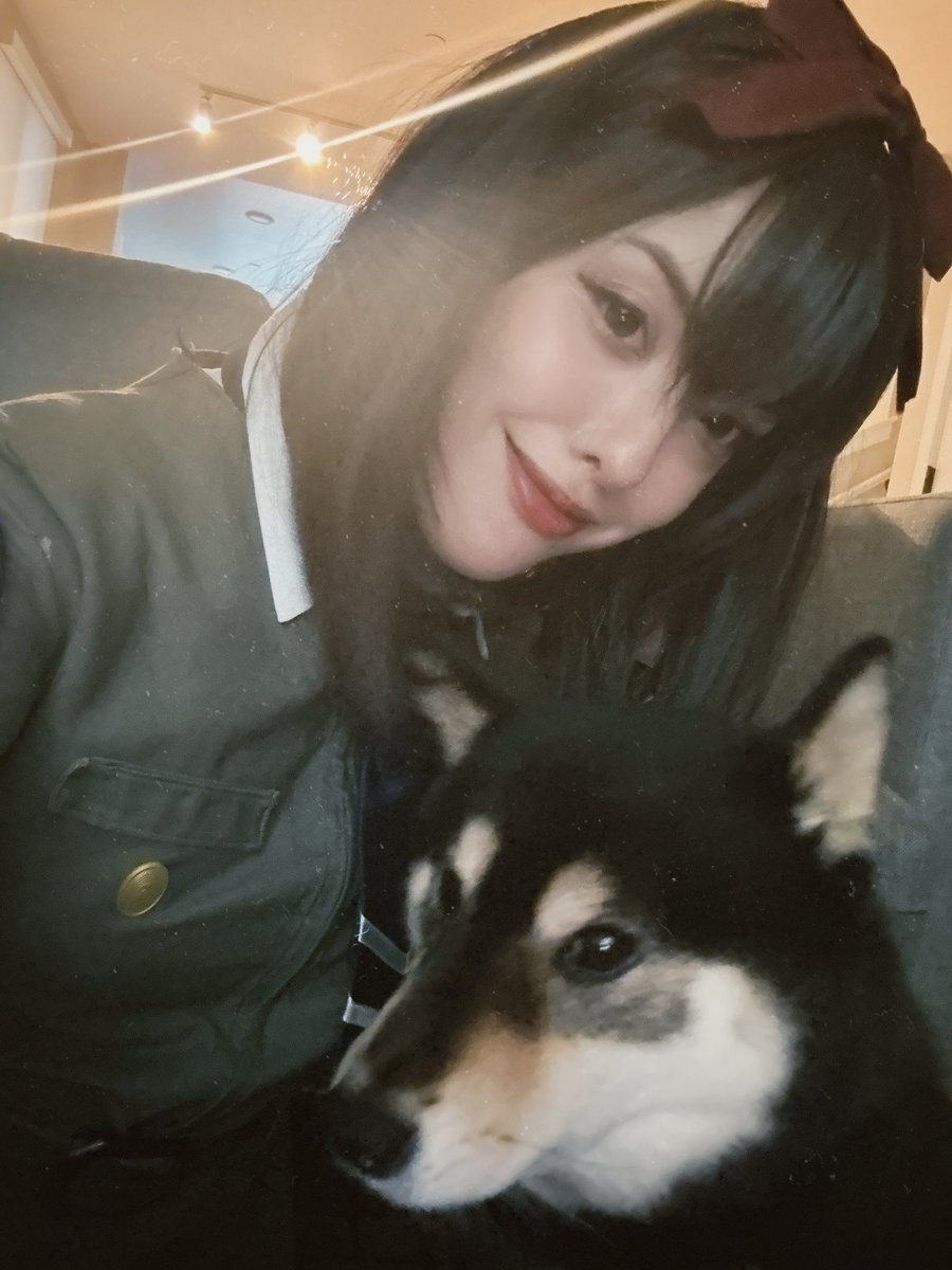 melontype's tweet photo. doggy sonomura https://t.co/ZgAtD1RzNa