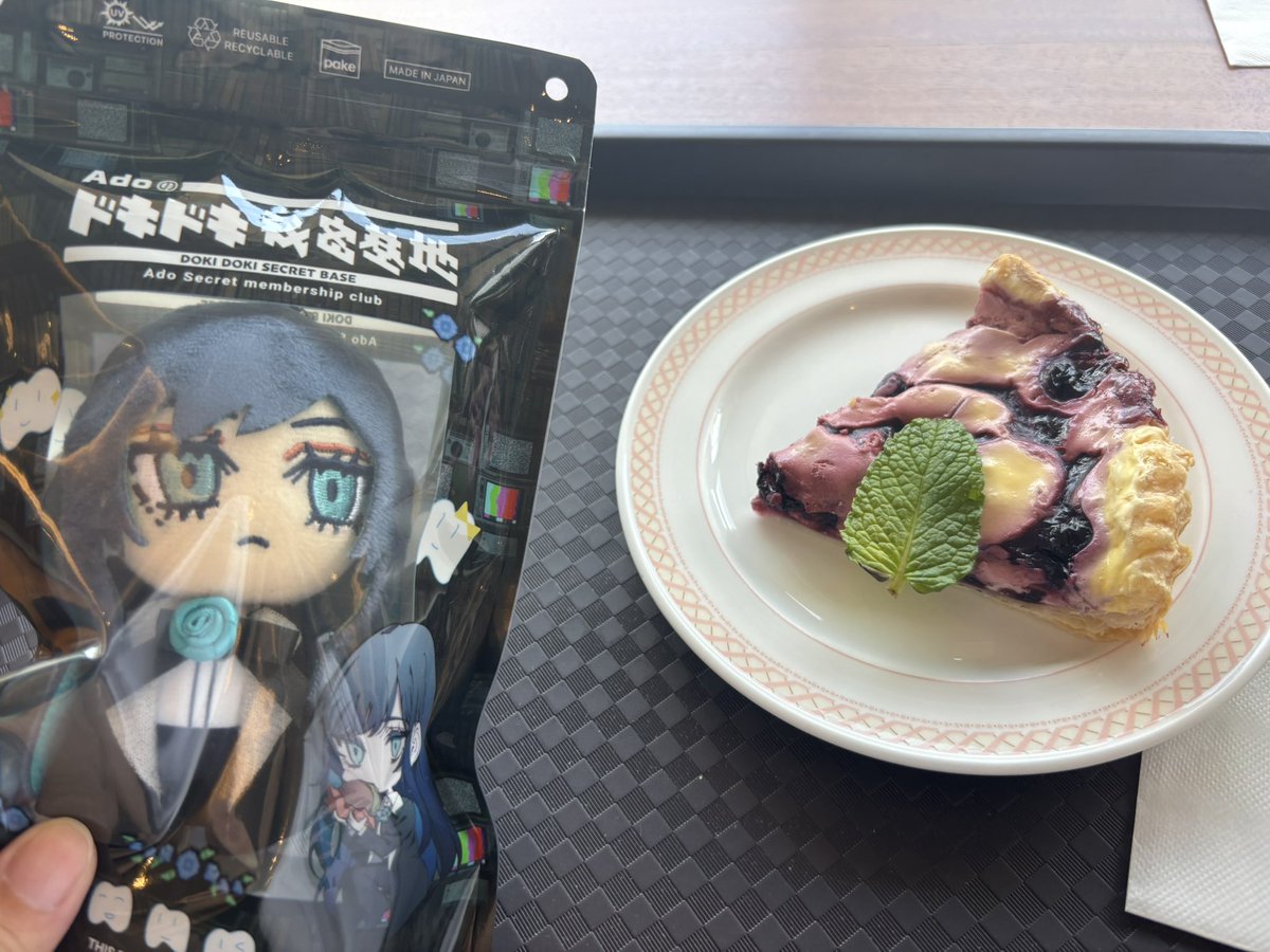 plum_adomin's tweet photo. Aoライブでもらったジッパー袋にAdoぬい入れるとこのまま販売してそう感あってなんか好き（伝われ） https://t.co/HJFTwoIOQn