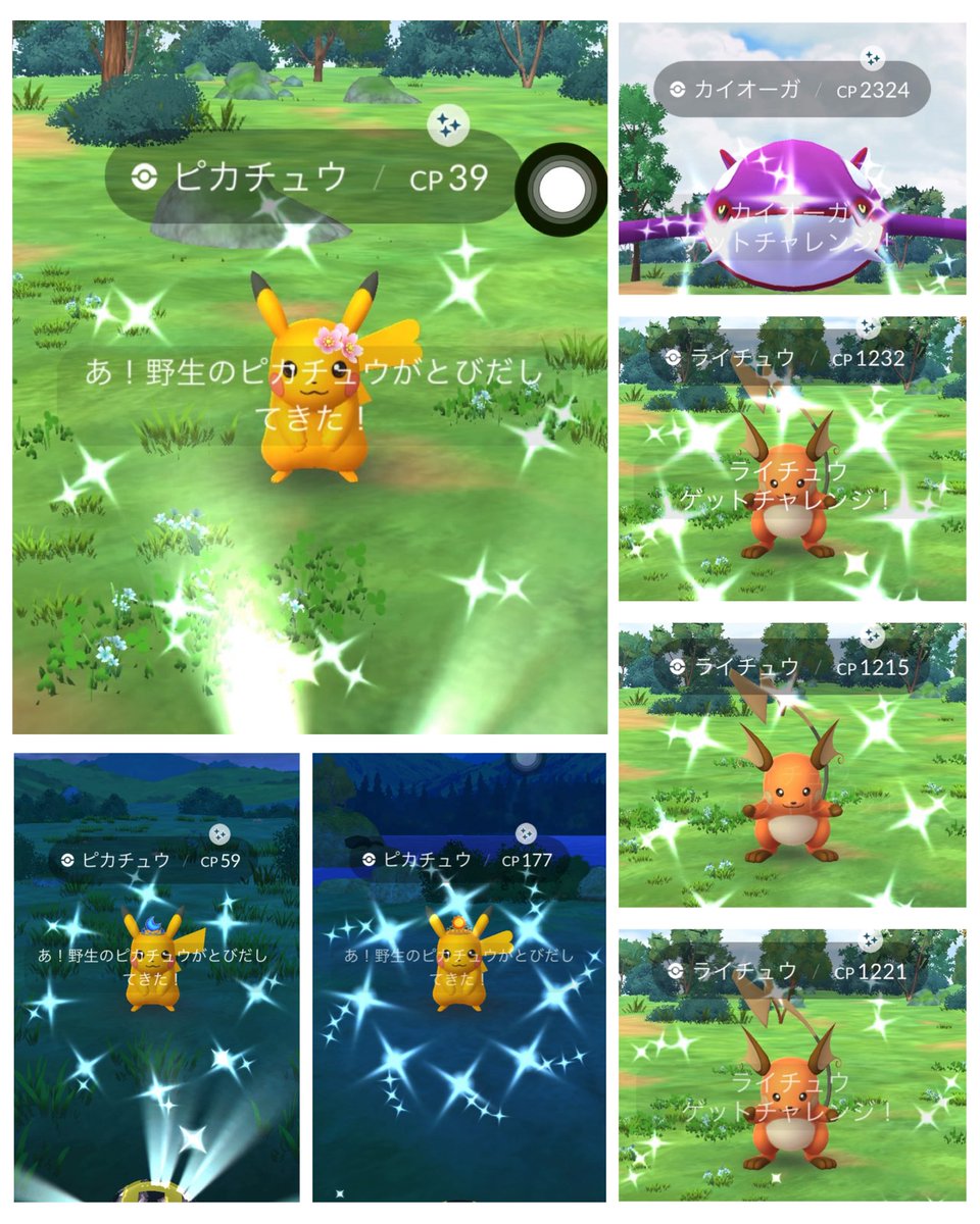 0LOVEoPEACHo0's tweet photo. ﹉﹉﹉﹉﹉﹉୨୧﹉﹉﹉﹉﹉﹉
My first Shiny 👒✨️Pikachu! 
Great job on the Super Mega 
Raid. 3Shiny✨✨✨

Have a wonderful holiday⚆.⚆♡
﹍﹍﹍﹍﹍﹍♡﹍﹍﹍﹍﹍﹍
 #PokemonGO  #ポケモンGO
 #ピカチュウ色違い  #ライチュウ色違い https://t.co/WaTgOvKg1z