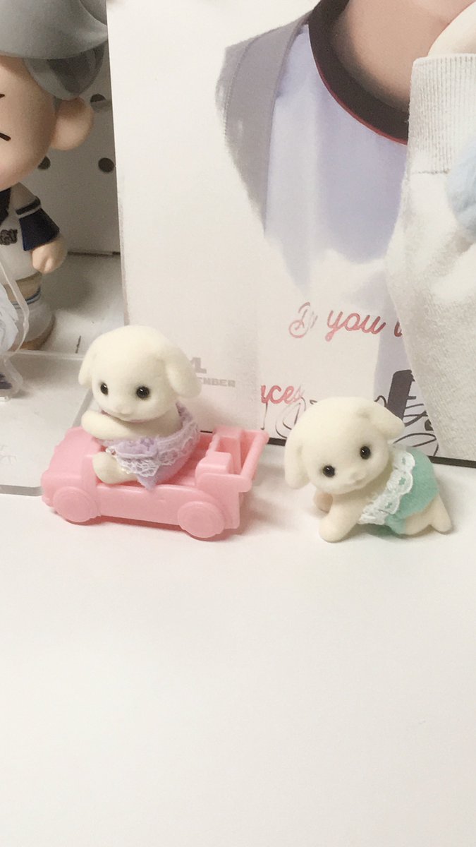 sammguo's tweet photo. 될거야 될거야 여자가 될거야....♡゛ https://t.co/CN82JsMEI0