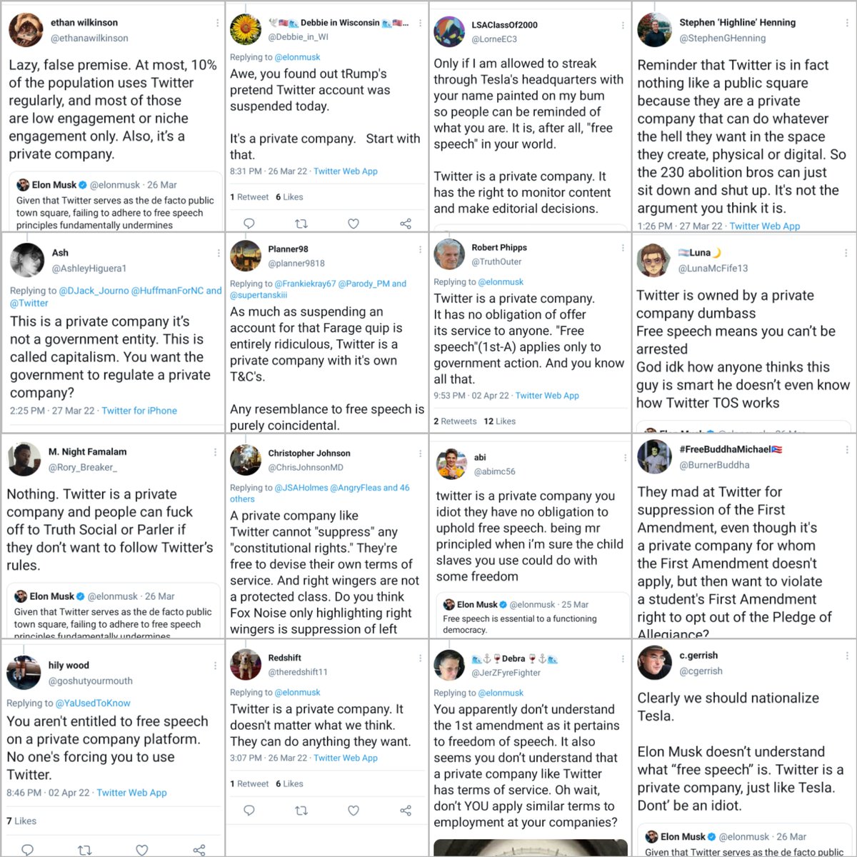 Possum Reviews tweet media