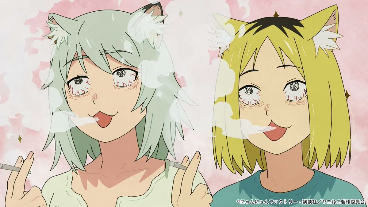 やぶさめり tweet media