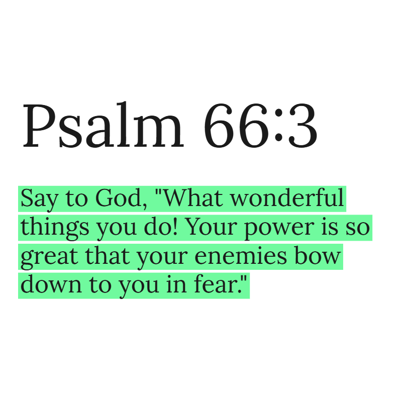 HolyBiblePosts's tweet photo. https://t.co/S5tUHreRH2