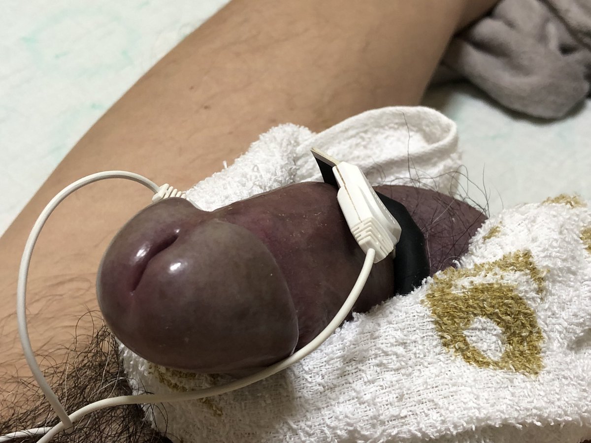 hatocyn1000's tweet photo. おはよう😃ございます。毎回同じ構図なんだけど、マッサージ💆が気持ち良過ぎて。🤪🤪🤪🤪😁😁 https://t.co/dbF5wOO4aR