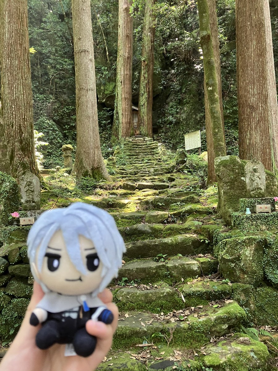 No_r0ots's tweet photo. こっちは背景にピントがあってるほう
奥の奥に小さな祠が見えるかと思います https://t.co/Dg2867Dbx5