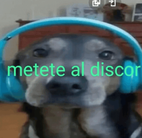 NinjaDesempleo's tweet photo. ¡¡¡ATENCIÓN PEQUEÑOS CREADORES DE CONTENIDO!!!
@NexusStudioMC y yo hemos creado un server de Discord donde creadores de contenido nuevos, pequeños y medianos pueden apoyarse, colaborar y estar al tanto de eventos que los ayudaran a crecer
Link de Discord: https://t.co/B99k1M6hrV https://t.co/99vfuoqh5o