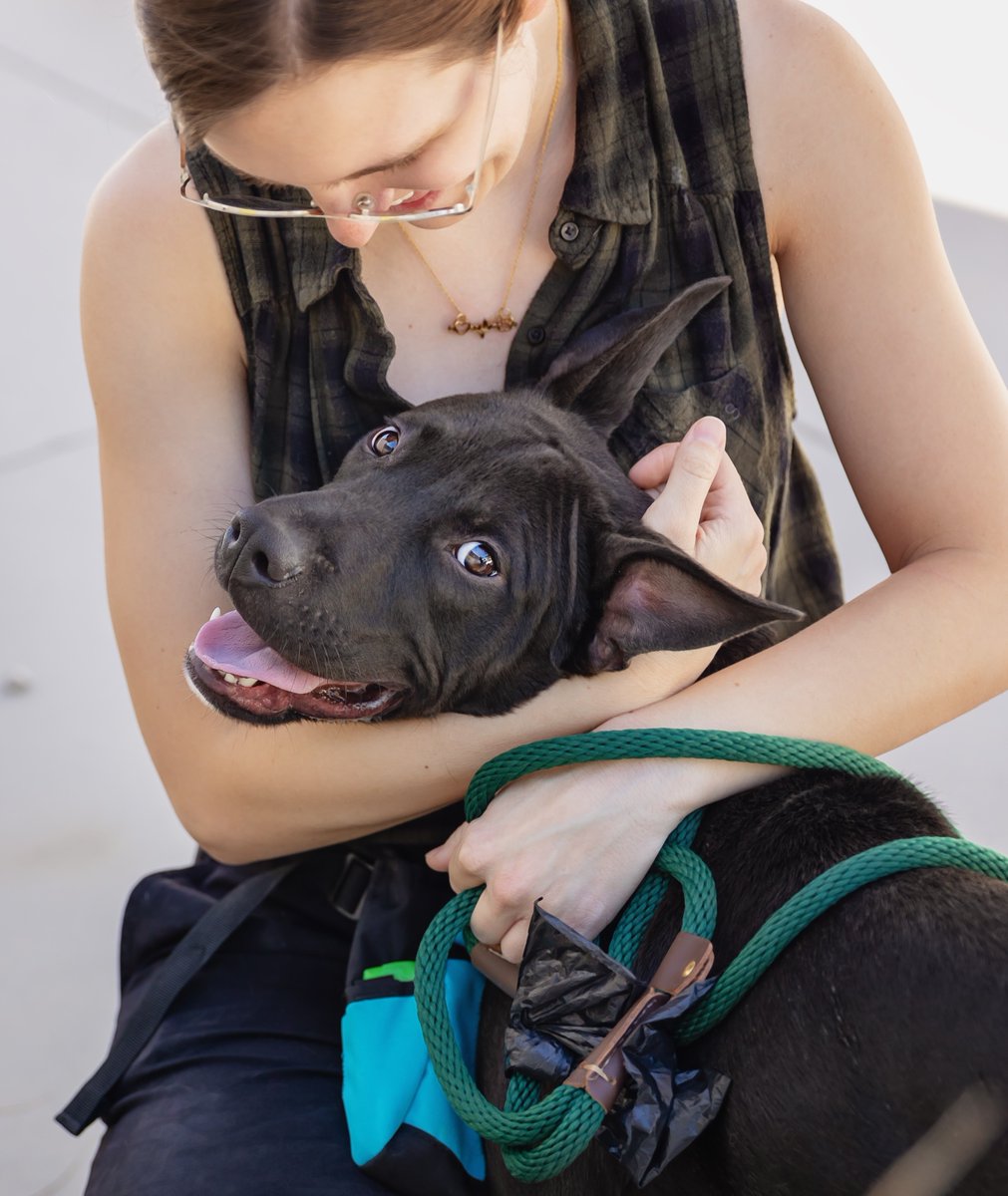 The Animal Foundation tweet media