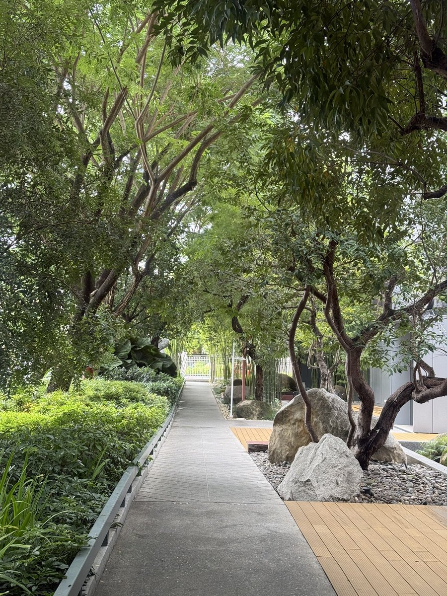 meoglim55236's tweet photo. 🌳🌿🌱숙소 주변 푸릇푸릇 카~ https://t.co/I3YMF8grRI