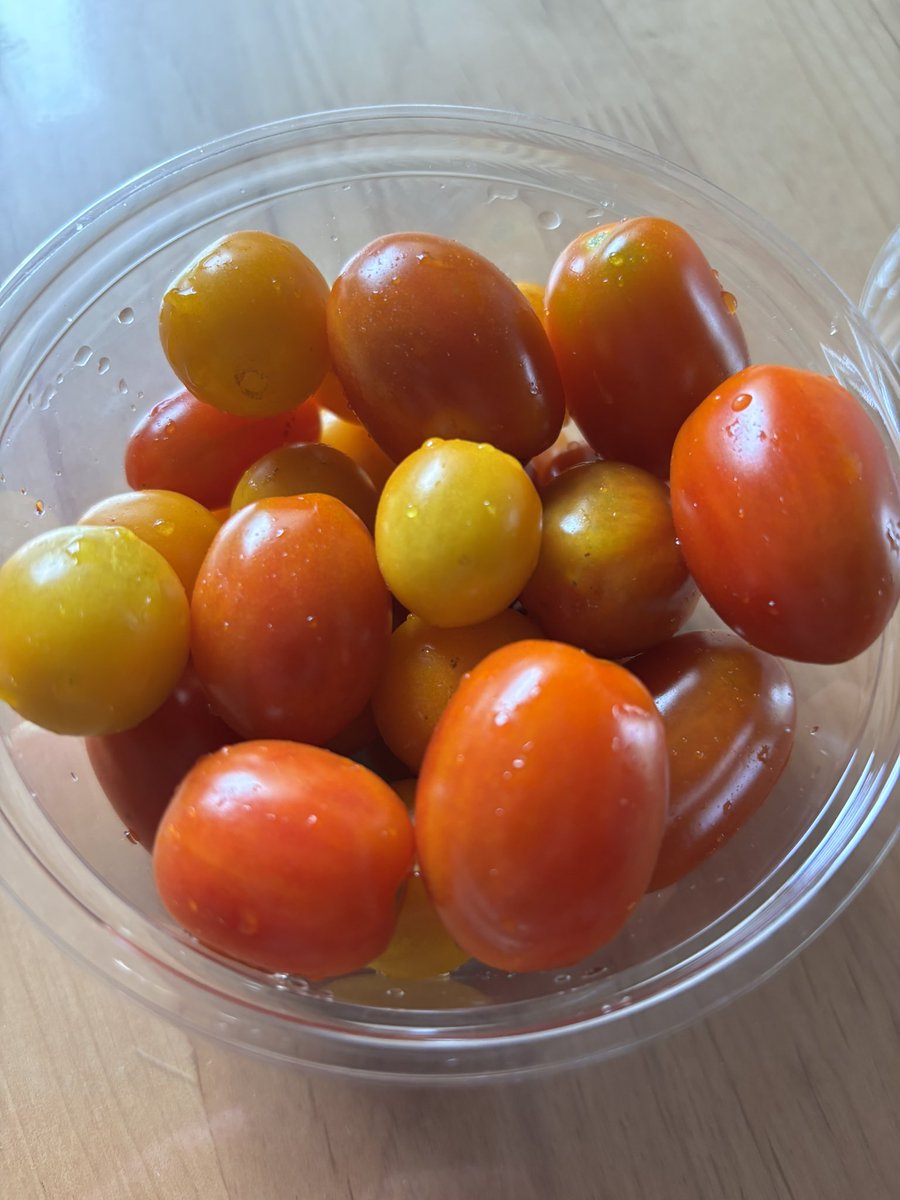 rainbowcamp2006's tweet photo. 庭で育ててるミニトマトを市販品の容器に入れて保存〜🍅
今年は試食して味を確かめて苗を購入したから自分の好きな味を毎日食べられて幸せ😆
長細い方が私の。黄色はぽよチョイス。味が全然違う！ https://t.co/HMmN9fomBT