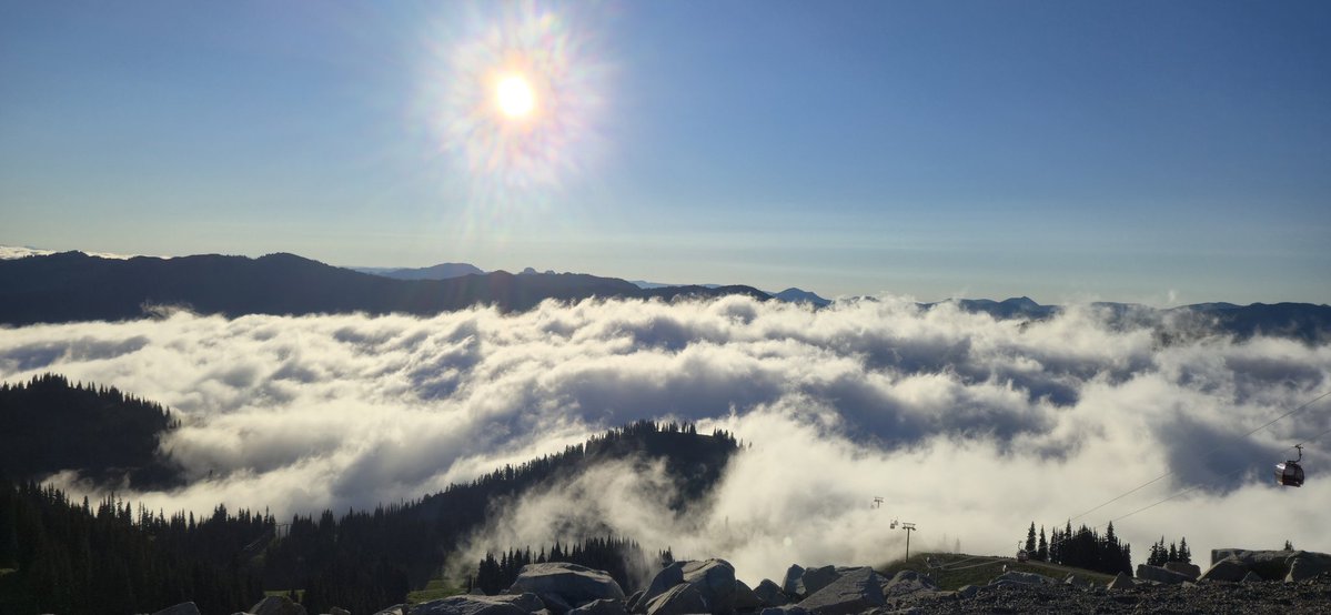 cmrodgers9's tweet photo. Half Marathon running down Mt Rainier this morning. 😎💙 https://t.co/RAeRIjJmlN